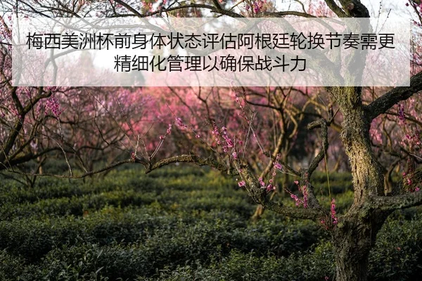 梅西美洲杯前身体状态评估阿根廷轮换节奏需更精细化管理以确保战斗力