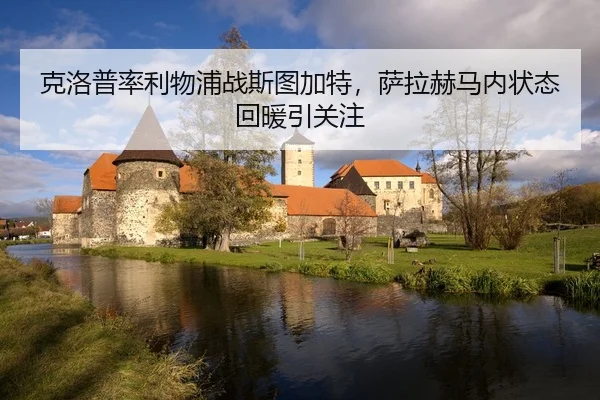 ke-luo-pu-lv-li-wu-pu-zhan-si-tu-jia-te-sa-la-he-ma-nei-zhuang-tai-hui-nuan-yin-guan-zhu-2-376.jpg