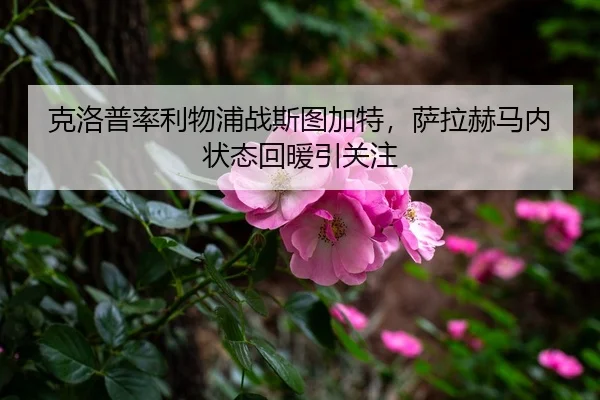 ke-luo-pu-lv-li-wu-pu-zhan-si-tu-jia-te-sa-la-he-ma-nei-zhuang-tai-hui-nuan-yin-guan-zhu-3-154.jpg