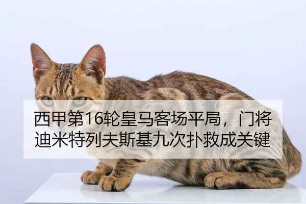 西甲第16轮皇马客场平局，门将迪米特列夫斯基九次扑救成关键