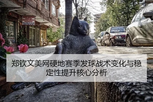 zheng-qin-wen-mei-wang-ying-di-sai-ji-fa-qiu-zhan-shu-bian-hua-yu-wen-ding-xing-ti-sheng-he-xin-fen-xi-2-609.jpg