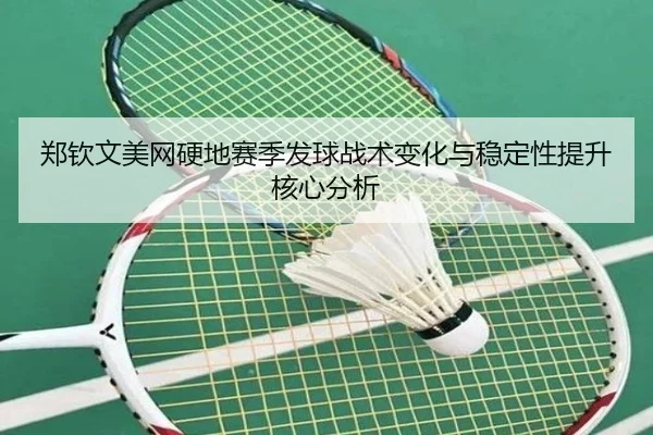 zheng-qin-wen-mei-wang-ying-di-sai-ji-fa-qiu-zhan-shu-bian-hua-yu-wen-ding-xing-ti-sheng-he-xin-fen-xi-3-481.jpg