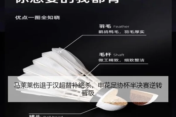 ma-lai-lai-shang-tui-yu-han-chao-ti-bu-jue-sha-shen-hua-zu-xie-bei-ban-jue-sai-ni-zhuan-jin-ji-2-774.jpg
